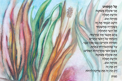 חגית בן שמואל גלויה