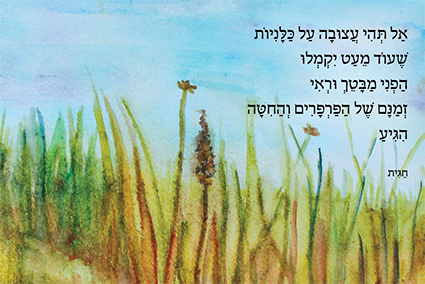 חגית בן שמואל גלויה