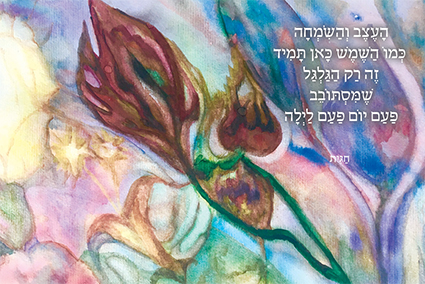חגית בן שמואל גלויה